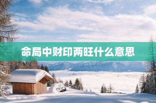 命局中财印两旺什么意思