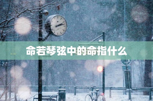 命若琴弦中的命指什么