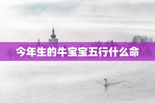 今年生的牛宝宝五行什么命