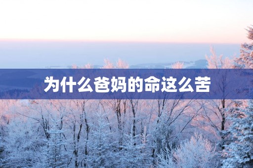 为什么爸妈的命这么苦