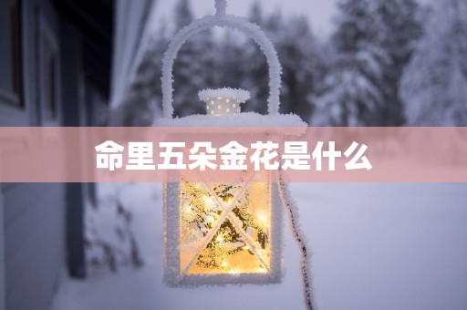 命里五朵金花是什么
