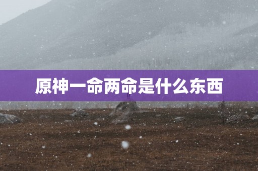 原神一命两命是什么东西