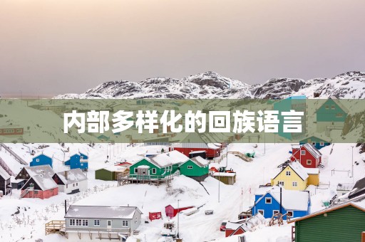 内部多样化的回族语言