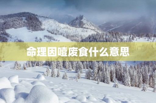 命理因噎废食什么意思