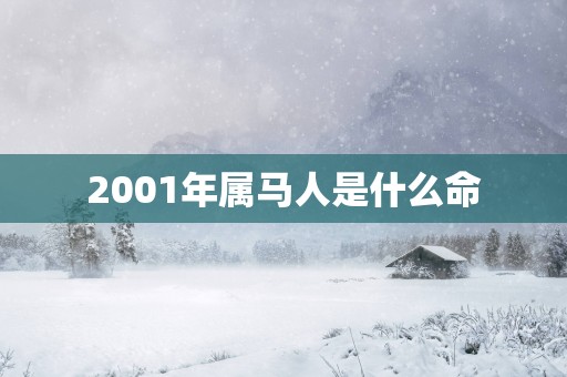 2001年属马人是什么命