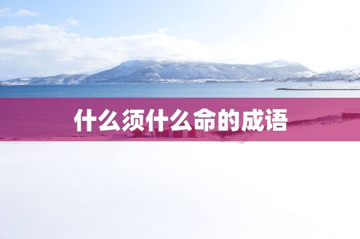 什么须什么命的成语