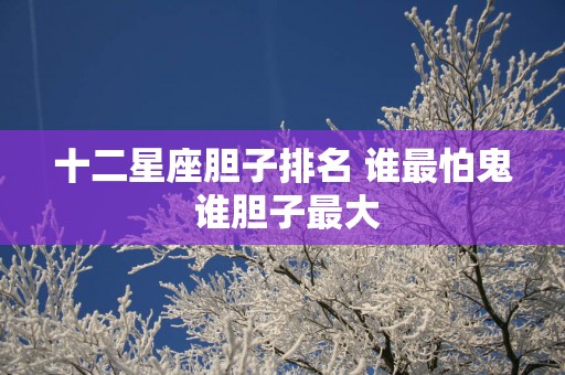 十二星座胆子排名 谁最怕鬼 谁胆子最大
