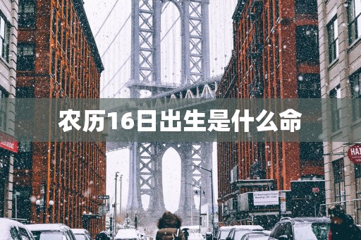 农历16日出生是什么命