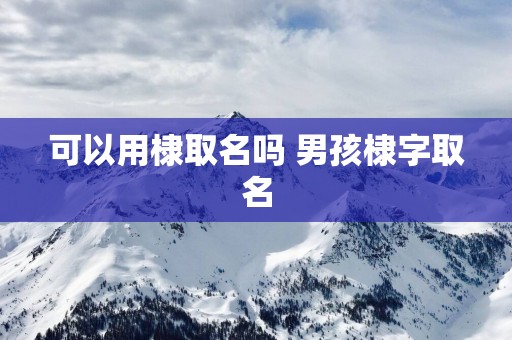 可以用棣取名吗 男孩棣字取名