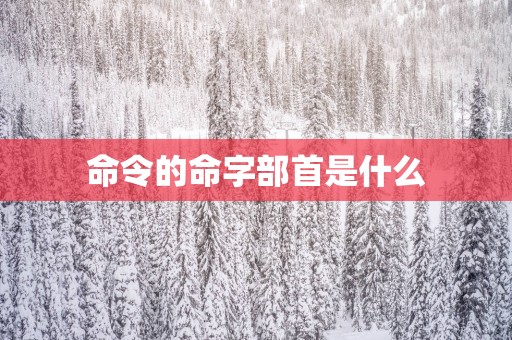 命令的命字部首是什么