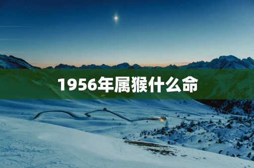 1956年属猴什么命