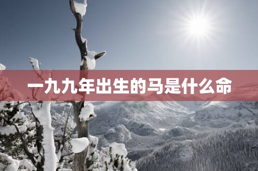 一九九年出生的马是什么命