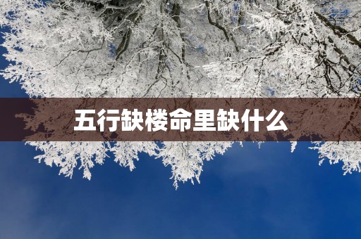 五行缺楼命里缺什么