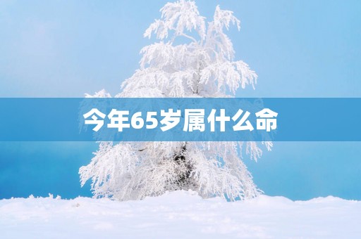 今年65岁属什么命