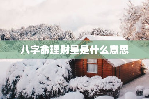 八字命理财星是什么意思
