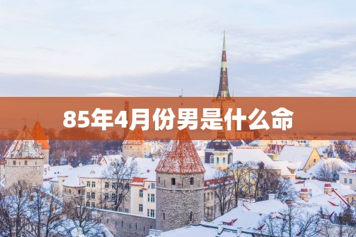 85年4月份男是什么命