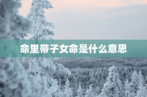 命里带子女命是什么意思