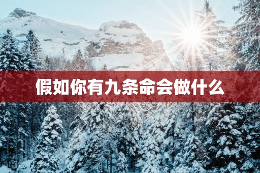 假如你有九条命会做什么