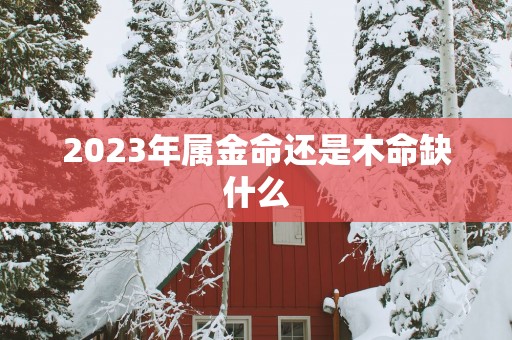 2025年属金命还是木命缺什么