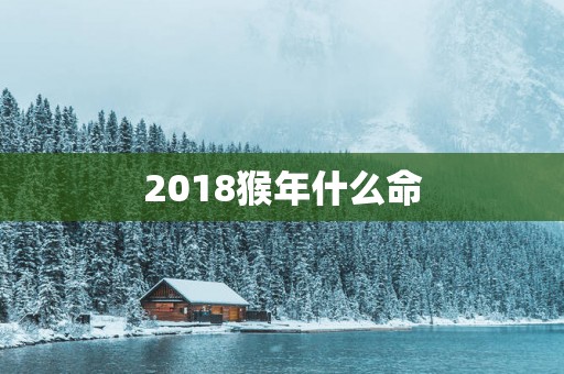 2018猴年什么命