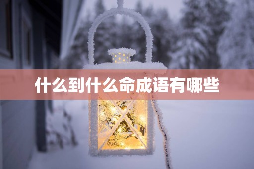 什么到什么命成语有哪些