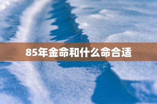 85年金命和什么命合适