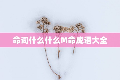 命词什么什么M命成语大全