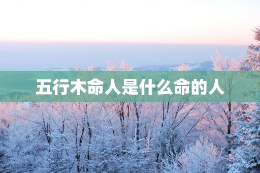 五行木命人是什么命的人