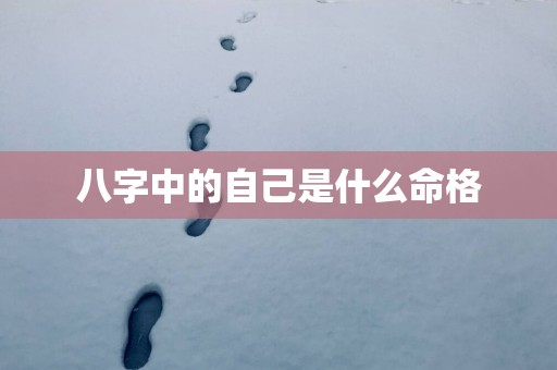 八字中的自己是什么命格