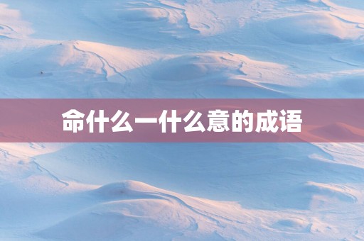 命什么一什么意的成语