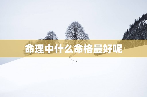 命理中什么命格最好呢