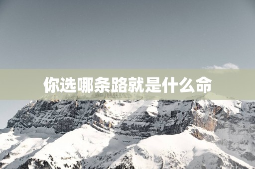你选哪条路就是什么命