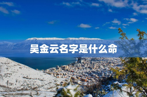 吴金云名字是什么命
