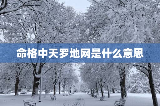 命格中天罗地网是什么意思