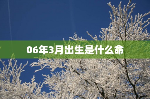 06年3月出生是什么命