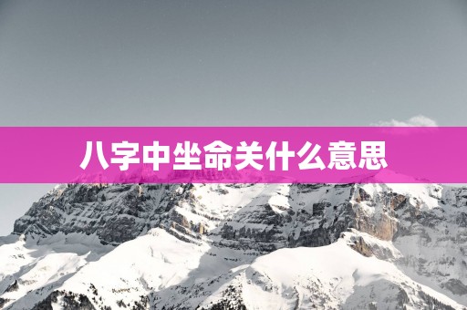 八字中坐命关什么意思