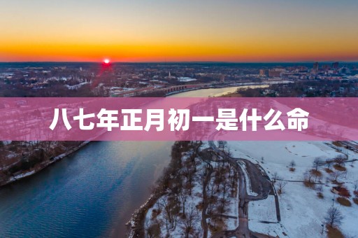 八七年正月初一是什么命
