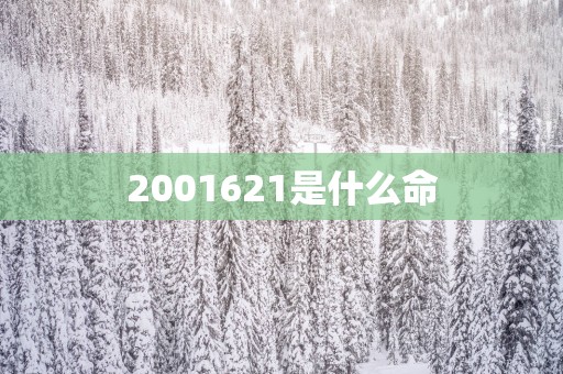 2001621是什么命