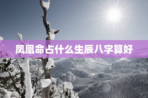 凤凰命占什么生辰八字算好 凤凰命占什么生辰八字算好