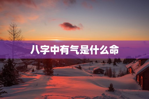 八字中有气是什么命