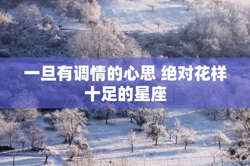 一旦有调情的心思 绝对花样十足的星座