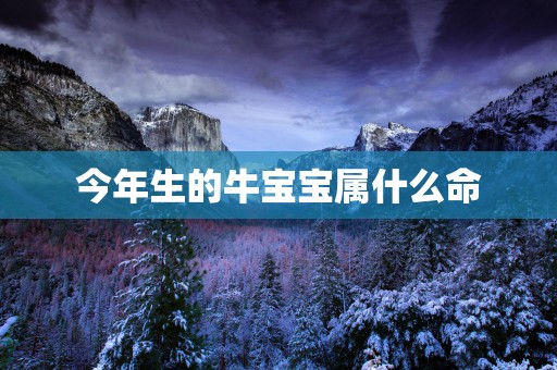 今年生的牛宝宝属什么命