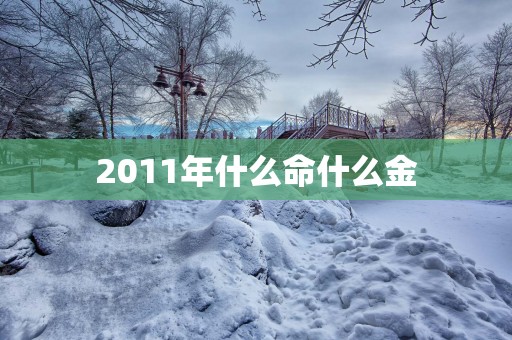 2011年什么命什么金