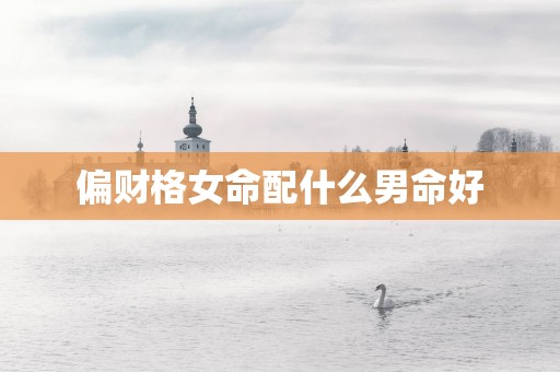 偏财格女命配什么男命好