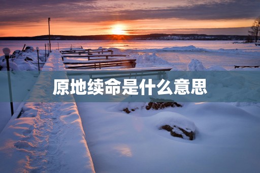 原地续命是什么意思