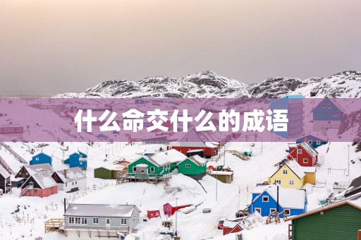 什么命交什么的成语