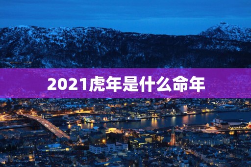 2025蛇年是什么命年