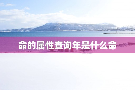 命的属性查询年是什么命
