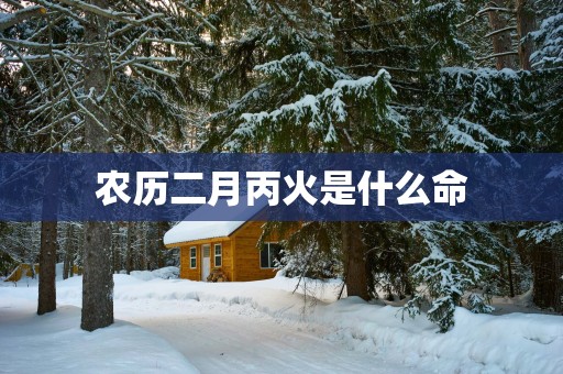 农历二月丙火是什么命