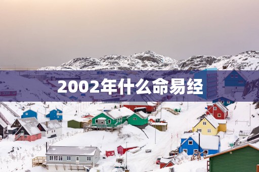 2002年什么命易经